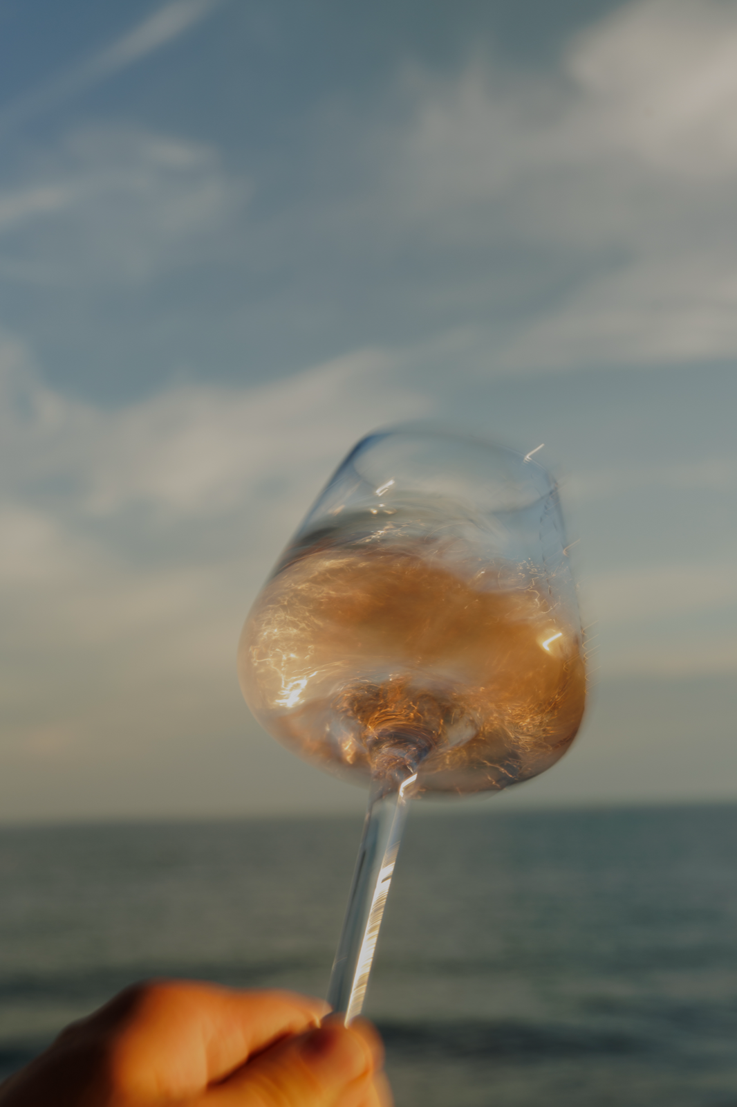 Wine pairing — jelo i čaše